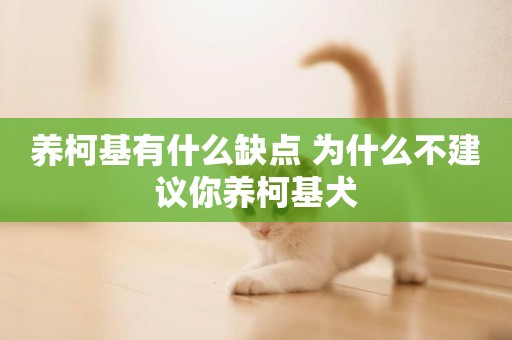 養柯基有什么缺點 為什么不建議你養柯基犬