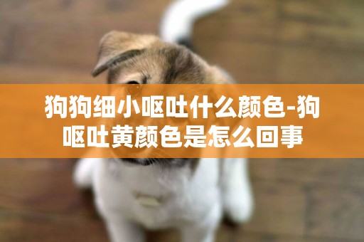 狗狗細小嘔吐什么顏色-狗嘔吐黃顏色是怎么回事