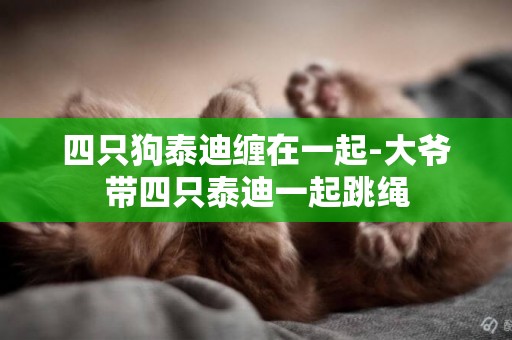 四只狗泰迪纏在一起-大爺帶四只泰迪一起跳繩