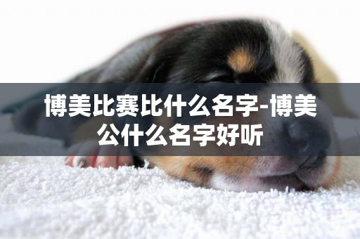 博美比賽比什么名字-博美公什么名字好聽