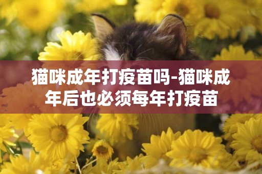貓咪成年打疫苗嗎-貓咪成年后也必須每年打疫苗