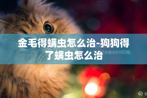 金毛得螨蟲怎么治-狗狗得了螨蟲怎么治