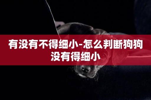 有沒有不得細小-怎么判斷狗狗沒有得細小