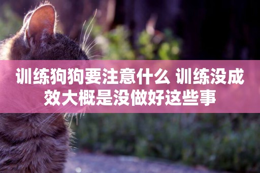 訓練狗狗要注意什么 訓練沒成效大概是沒做好這些事