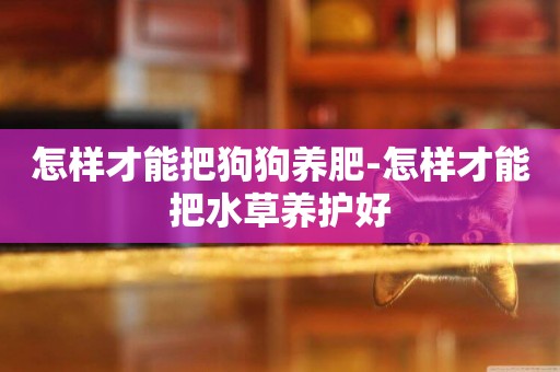 怎樣才能把狗狗養肥-怎樣才能把水草養護好