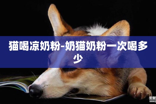 貓喝涼奶粉-奶貓奶粉一次喝多少