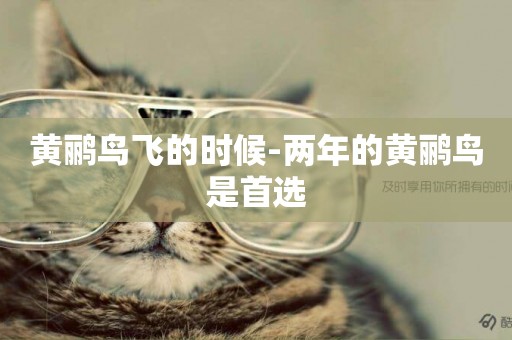 黃鸝鳥飛的時候-兩年的黃鸝鳥是首選