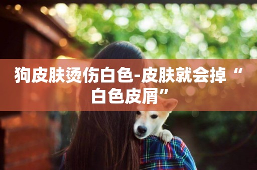 狗皮膚燙傷白色-皮膚就會掉“白色皮屑”