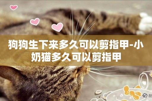 狗狗生下來多久可以剪指甲-小奶貓多久可以剪指甲
