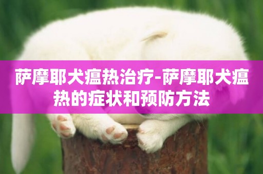 薩摩耶犬瘟熱治療-薩摩耶犬瘟熱的癥狀和預防方法