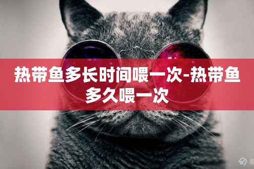 熱帶魚多長時間喂一次-熱帶魚多久喂一次