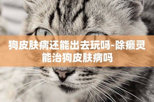 狗皮膚病還能出去玩嗎-除癩靈能治狗皮膚病嗎