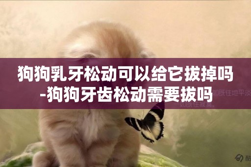 狗狗乳牙松動可以給它拔掉嗎-狗狗牙齒松動需要拔嗎