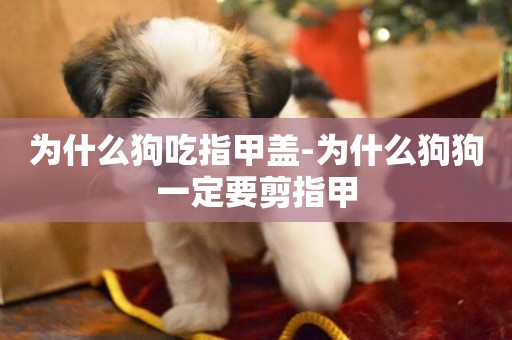 為什么狗吃指甲蓋-為什么狗狗一定要剪指甲