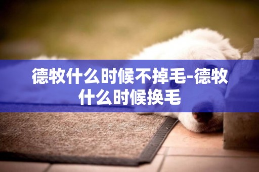 德牧什么時候不掉毛-德牧什么時候換毛