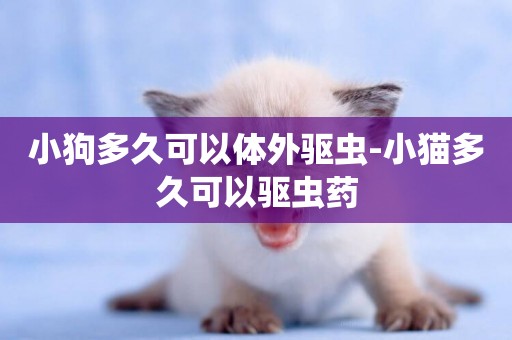 小狗多久可以體外驅蟲-小貓多久可以驅蟲藥