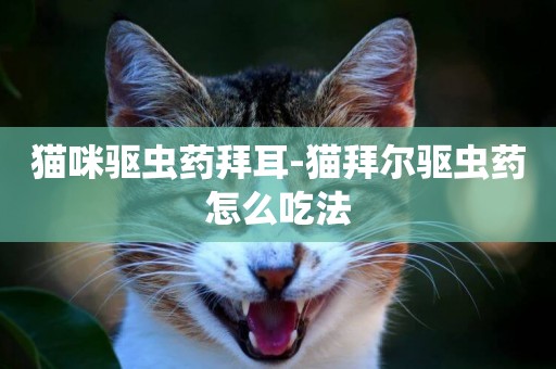 貓咪驅蟲藥拜耳-貓拜爾驅蟲藥怎么吃法