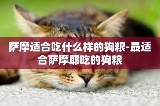 薩摩適合吃什么樣的狗糧-最適合薩摩耶吃的狗糧