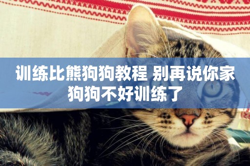 訓練比熊狗狗教程 別再說你家狗狗不好訓練了
