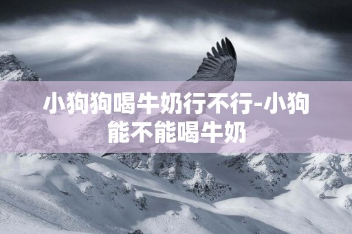小狗狗喝牛奶行不行-小狗能不能喝牛奶