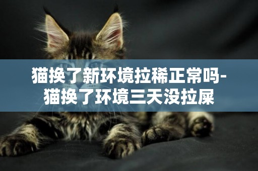 貓換了新環境拉稀正常嗎-貓換了環境三天沒拉屎