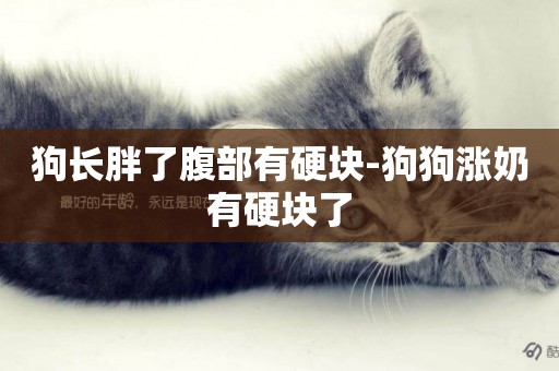 狗長胖了腹部有硬塊-狗狗漲奶有硬塊了