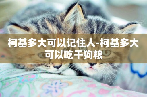 柯基多大可以記住人-柯基多大可以吃干狗糧