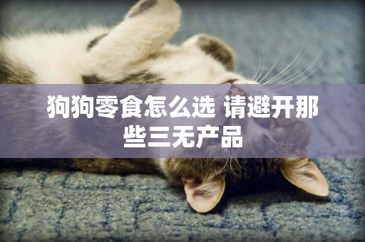 狗狗零食怎么選 請避開那些三無產品