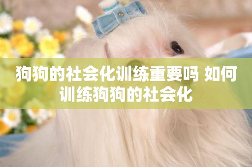 狗狗的社會化訓練重要嗎 如何訓練狗狗的社會化