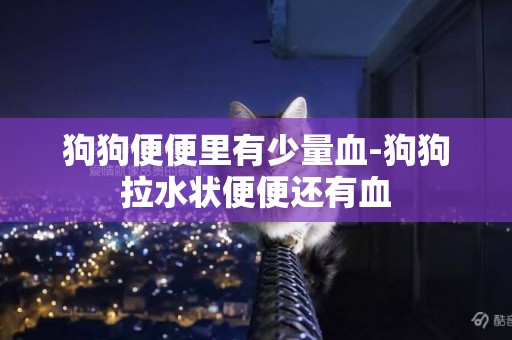 狗狗便便里有少量血-狗狗拉水狀便便還有血