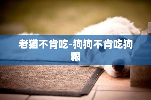 老貓不肯吃-狗狗不肯吃狗糧