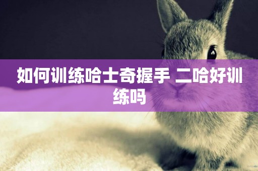 如何訓練哈士奇握手 二哈好訓練嗎