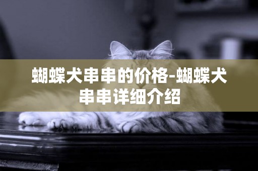 蝴蝶犬串串的價格-蝴蝶犬串串詳細介紹