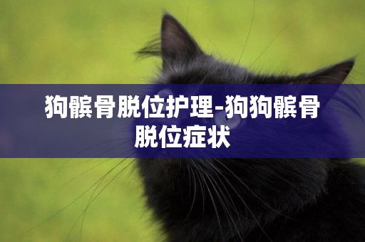 狗髕骨脫位護理-狗狗髕骨脫位癥狀 狗髕骨脫位護理-狗狗髕骨脫位癥狀