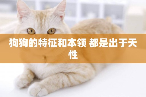 狗狗的特征和本領 都是出于天性