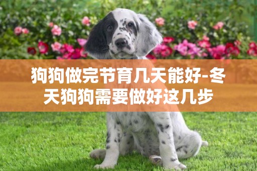 狗狗做完節育幾天能好-冬天狗狗需要做好這幾步