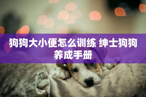 狗狗大小便怎么訓練 紳士狗狗養成手冊