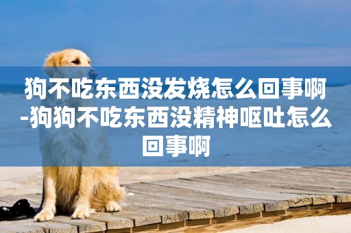 狗不吃東西沒發燒怎么回事啊-狗狗不吃東西沒精神嘔吐怎么回事啊
