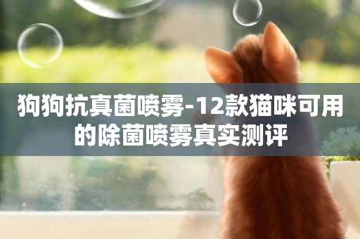 狗狗抗真菌噴霧-12款貓咪可用的除菌噴霧真實測評