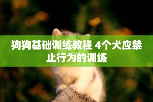 狗狗基礎訓練教程 4個犬應禁止行為的訓練