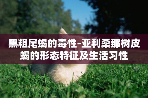 黑粗尾蝎的毒性-亞利桑那樹皮蝎的形態特征及生活習性