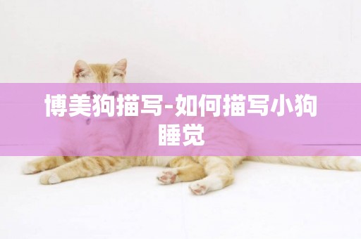 博美狗描寫-如何描寫小狗睡覺
