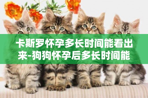 卡斯羅懷孕多長時間能看出來-狗狗懷孕后多長時間能生