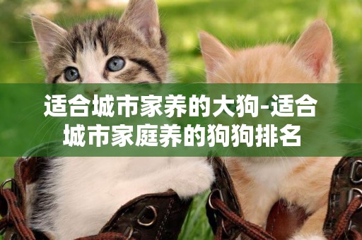 適合城市家養的大狗-適合城市家庭養的狗狗排名