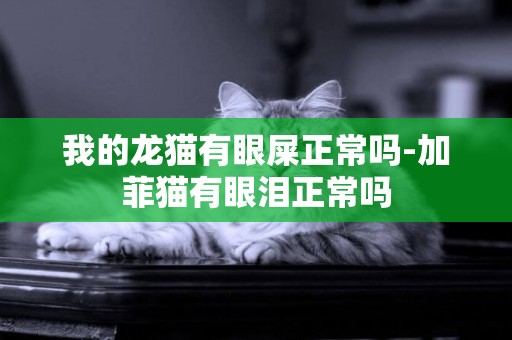 我的龍貓有眼屎正常嗎-加菲貓有眼淚正常嗎