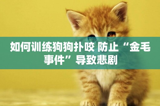 如何訓練狗狗撲咬 防止“金毛事件”導致悲劇