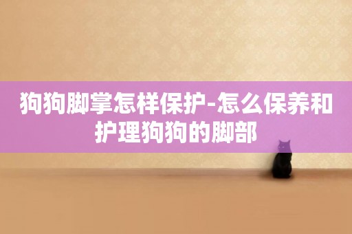 狗狗腳掌怎樣保護-怎么保養和護理狗狗的腳部