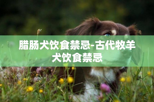 臘腸犬飲食禁忌-古代牧羊犬飲食禁忌