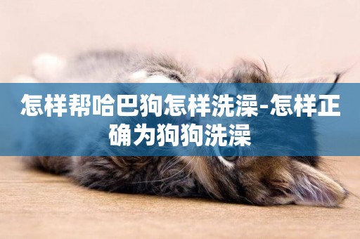 怎樣幫哈巴狗怎樣洗澡-怎樣正確為狗狗洗澡
