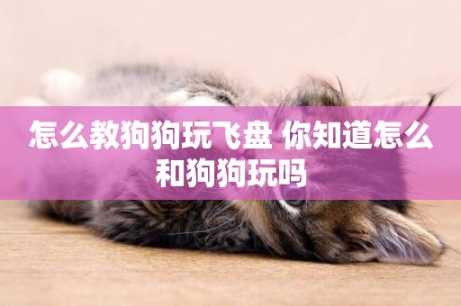 怎么教狗狗玩飛盤 你知道怎么和狗狗玩嗎